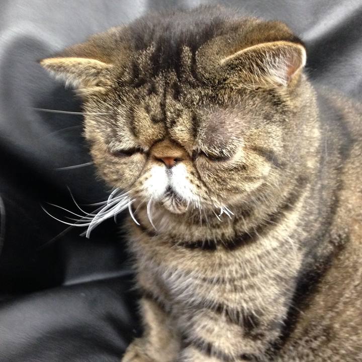 A51f5bc0 4ced 4d79 94c9 bcba94f1bbc3