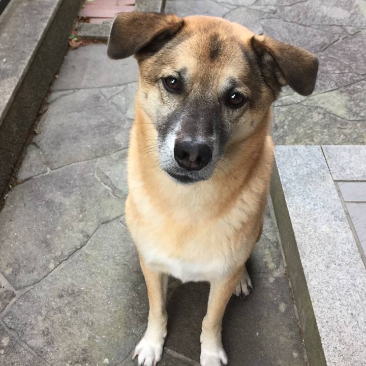 A51ffc59 2068 437c 9346 3a16913ce54f