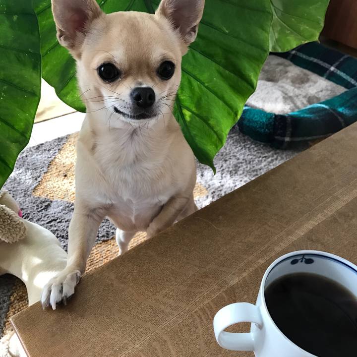 A5206f74 bd4a 4108 ac4c 54c4b0399655