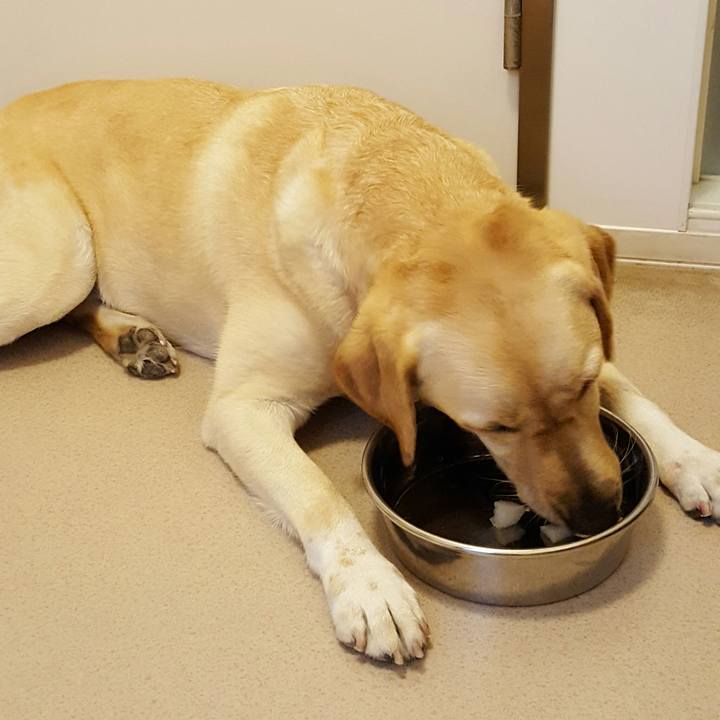 A520a56f 8772 4306 83bd 5a6c653f5589