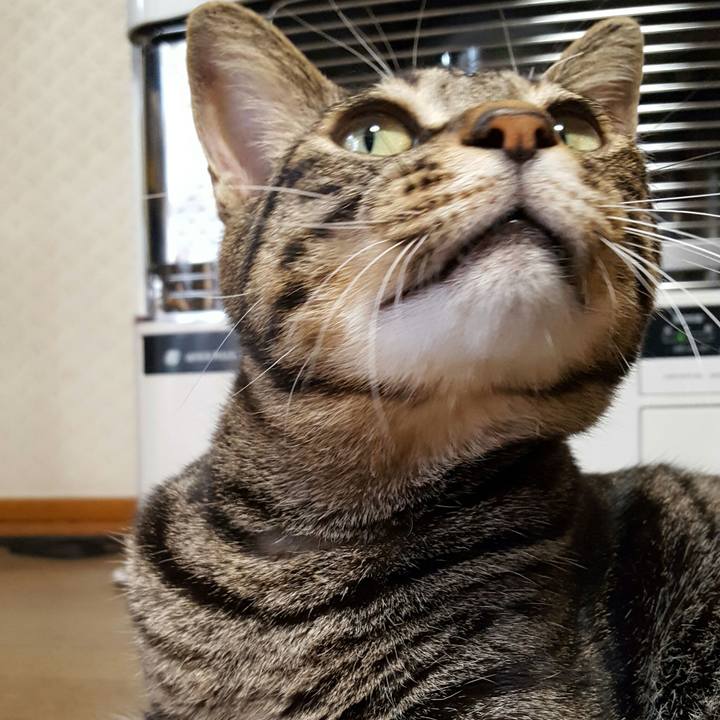 A520b27e b8a8 4ad0 9662 033d4a0f3a42