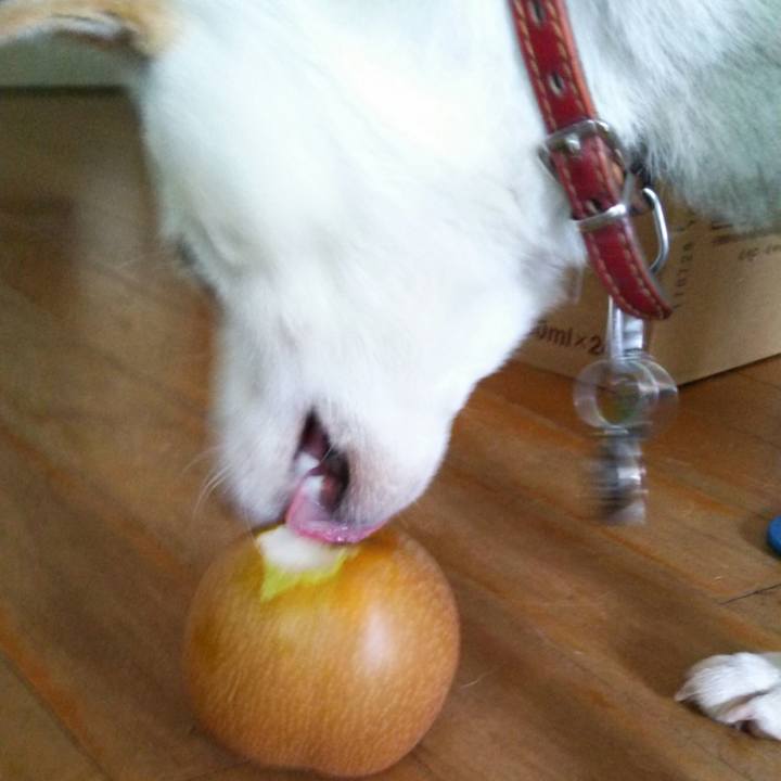 A520bc9e a20a 4c01 96ef 2be10c8af71f