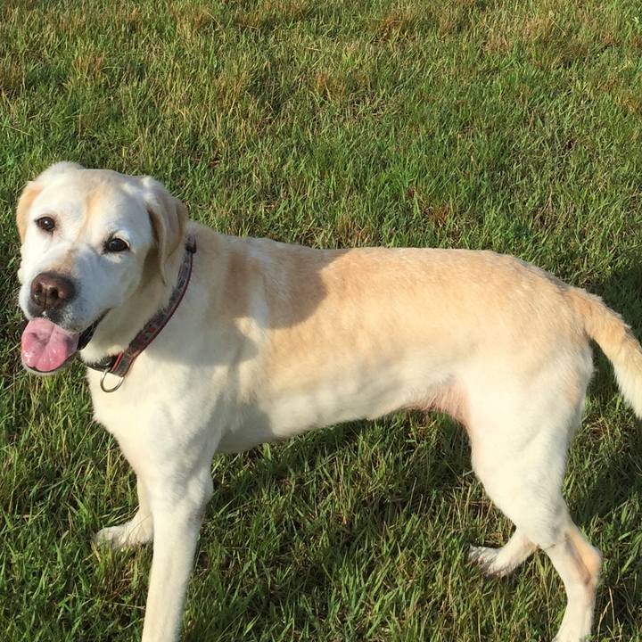 A520ead9 022b 4069 9df2 f5d52e455f6c