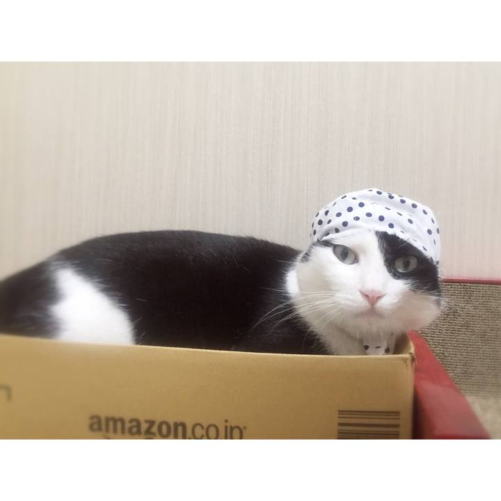 A5211883 0e3c 4a33 8fbe 97038aac05fc