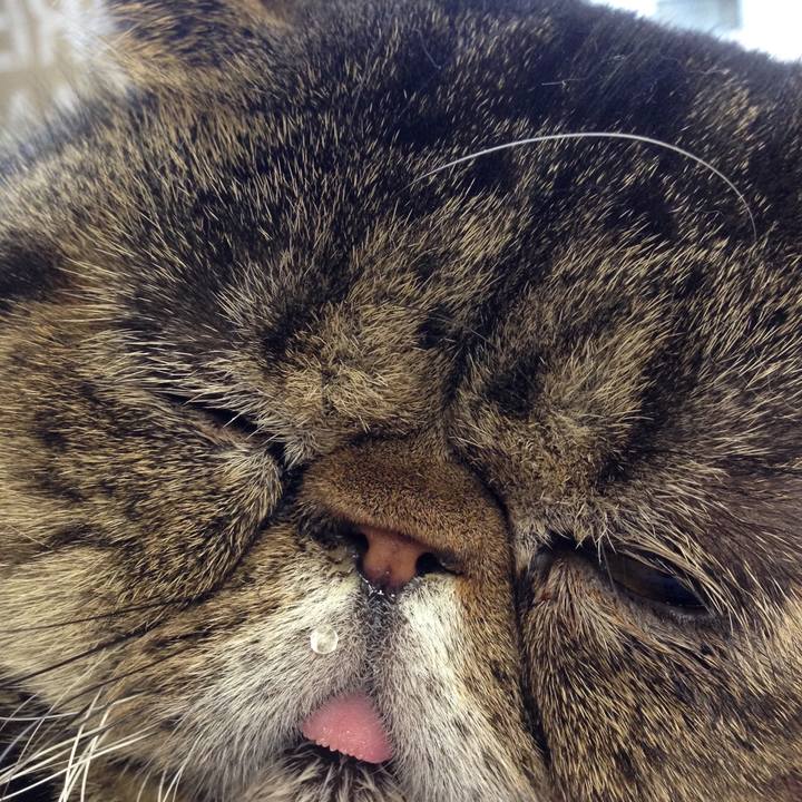 A52122fe e4e1 4bf3 8c07 e05d9a70c4b2