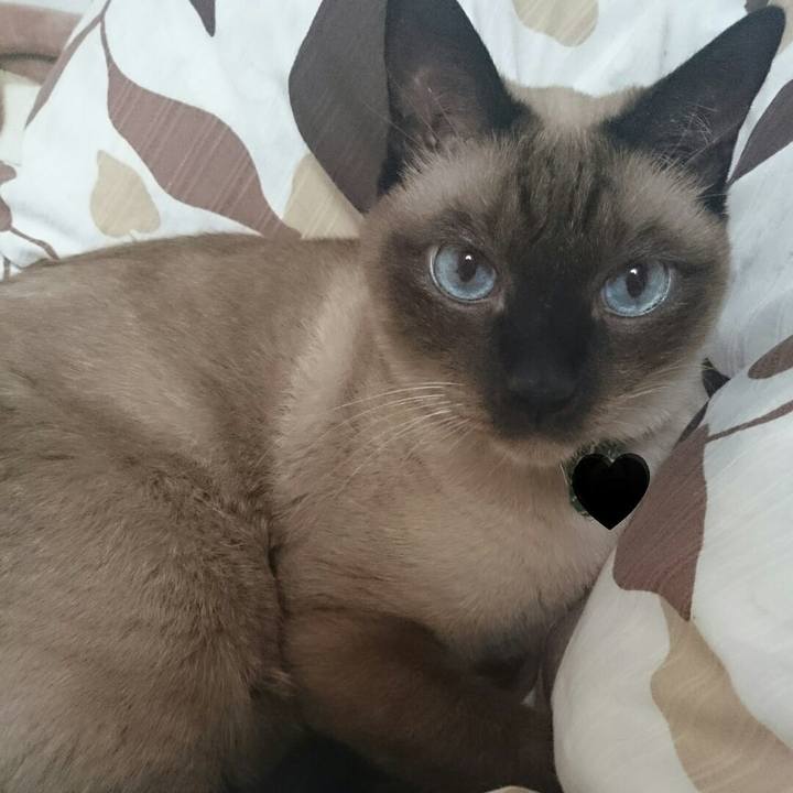 A521b88c 0b9e 40b2 8b53 1700d72027da