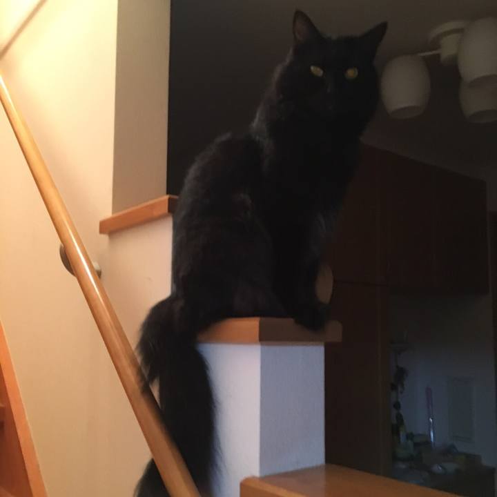 A521edff b071 4299 a245 7986067e9408