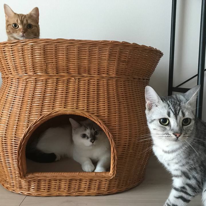 A5224723 9ae5 4042 ae8f 5e323992ade4