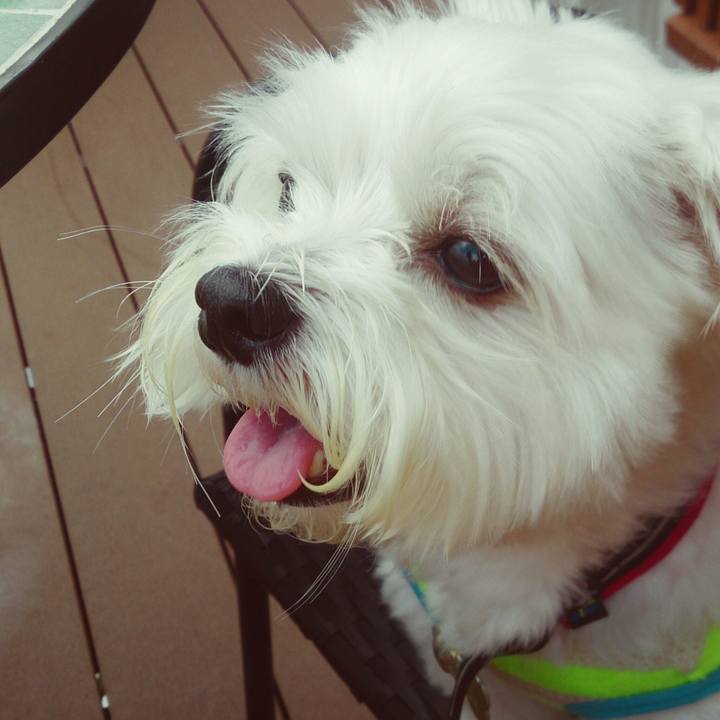 A5228e71 3a40 46a0 95b3 a54f49009c44