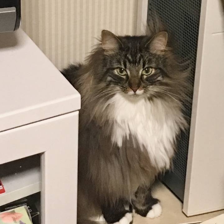 A522cd06 2dfc 430c 98b4 d21386eed766