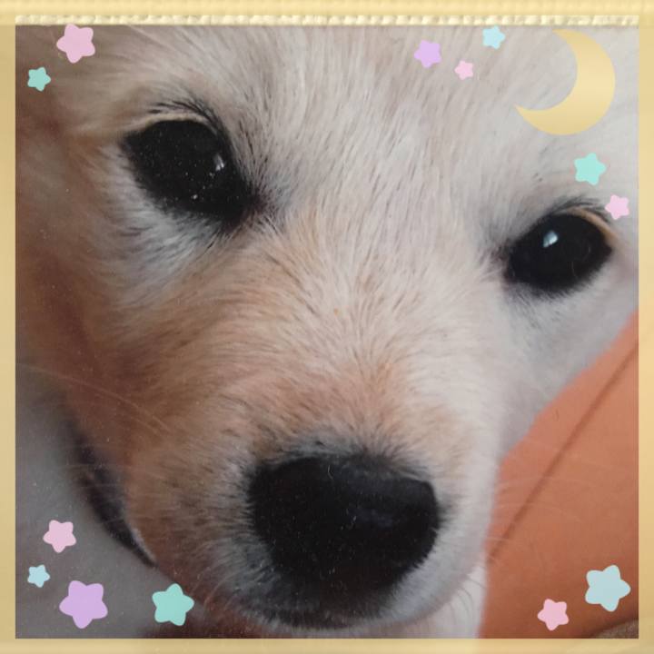 A52367f9 edf8 4422 9a78 130755bbf910