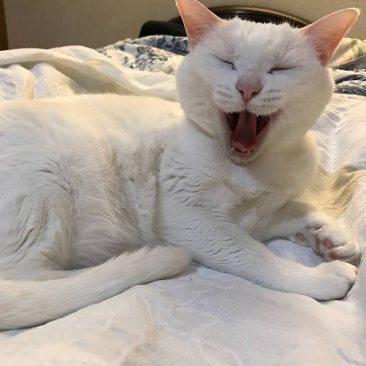 A524225f 60f3 4b24 9742 697dc26a7569