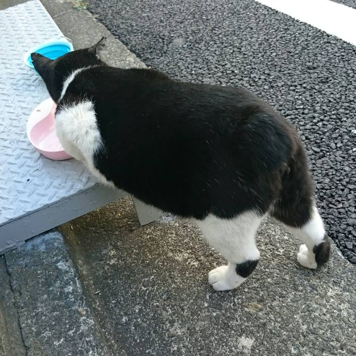 A5252f62 a275 4d1d 9064 676b57ed71fd