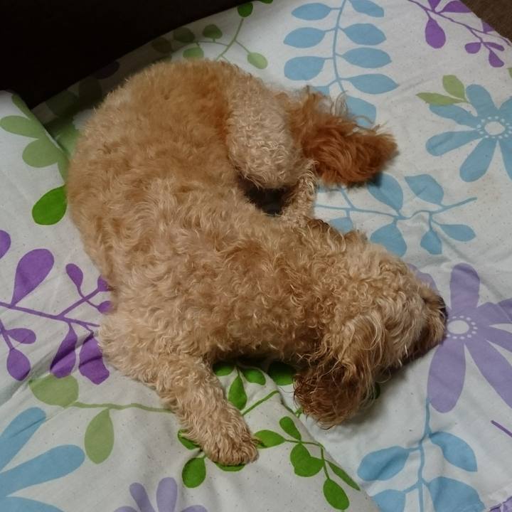 A525ea3c 7937 452b bdc3 2443d7a5af09