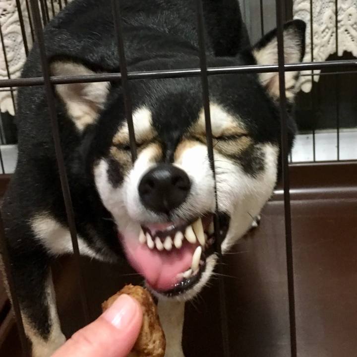 A526172a 5729 4e27 a802 9cecba8e660e