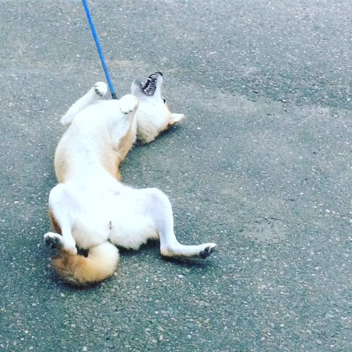 A528958c 5bd1 4b10 bb74 046356552c6d