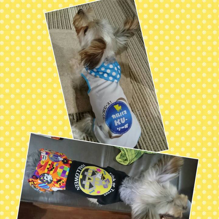 A529044a 8b33 4406 9b72 8f80b4fa4190