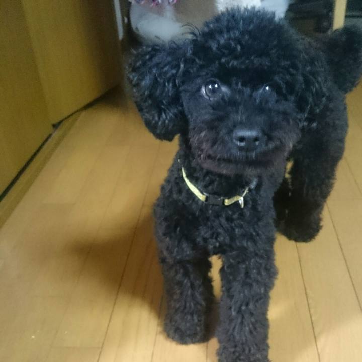 A52923fe 551c 45ab 916b 5c8fb5624d5b