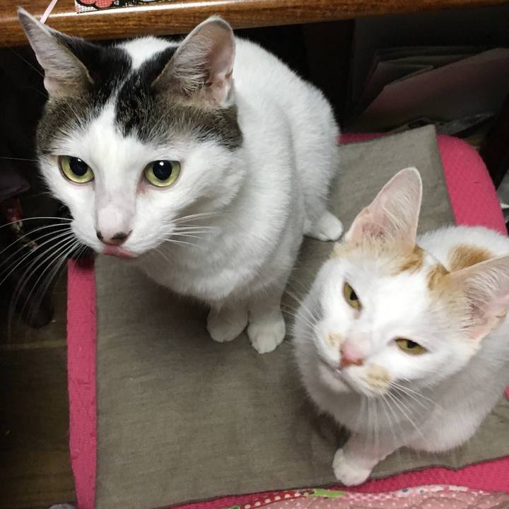 A529534c 7ccb 43c5 bc86 2d139137b5fb