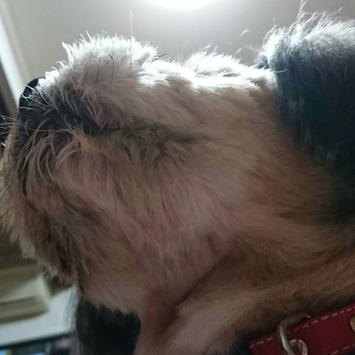 A529b1be 5e6d 43e9 b49f ee52ac5e7059