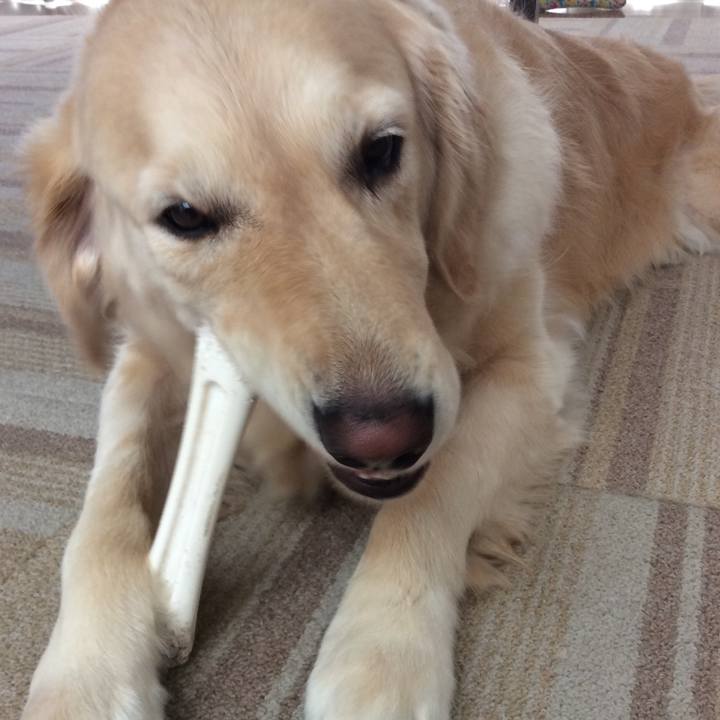 A52a23b7 76c7 468d 86bf dd0079a59c7c