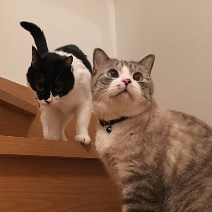 A52ab572 0f90 4971 a69e a81291761925