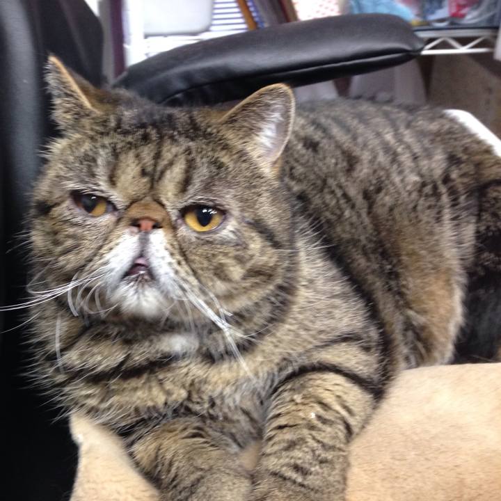 A52ad34e b6e5 4e87 b70d 4f0a7f800e7d