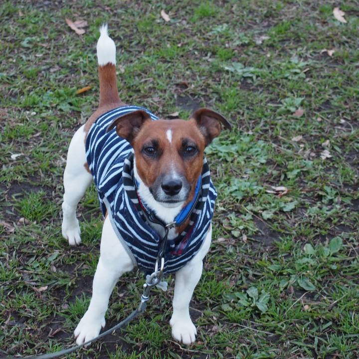 A52ada35 980d 46b6 8d21 065e968163a0