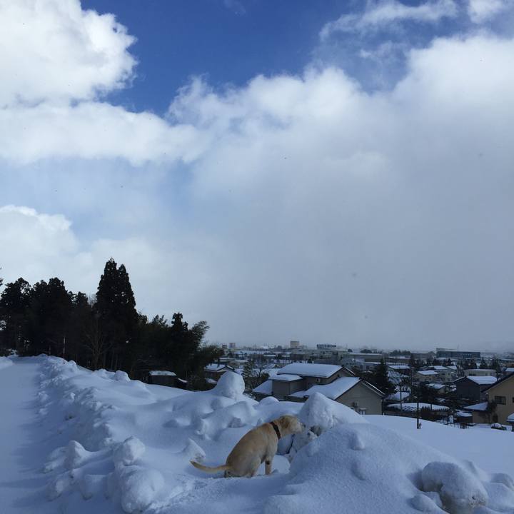 A52b20d7 7806 4328 be2b f586d9b556c3