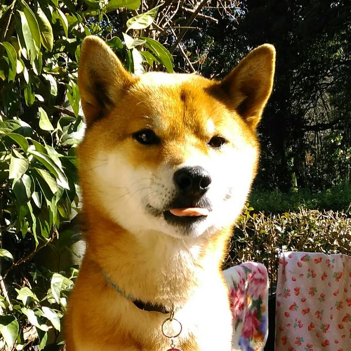 A52bb803 5d21 4a11 95f7 8b2ed7ae54fa