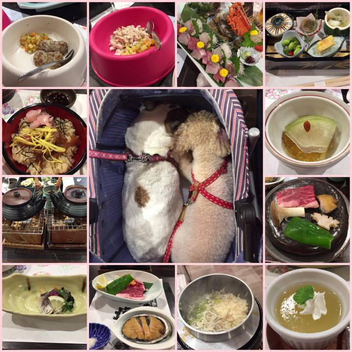 A52beec5 e333 44fb a48d d8335695c31c