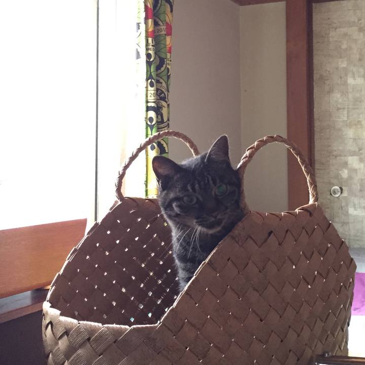 A52bf8d6 c80d 4bad bb8f 614ec23a62e3