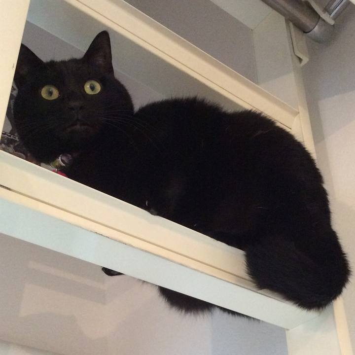 A52c7468 d28b 490d bfbb 961c03259c36