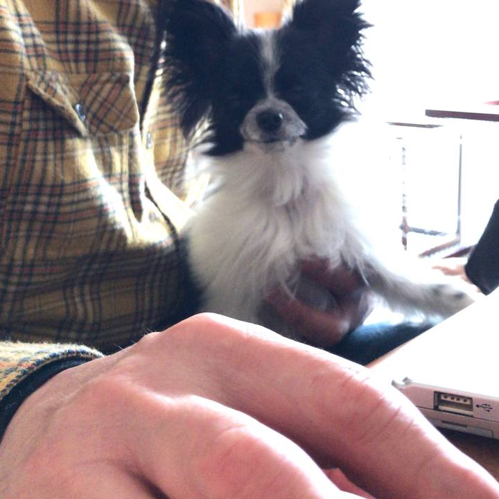 A52cb9b1 cf7f 45f2 a4d1 06dedf5f74bd