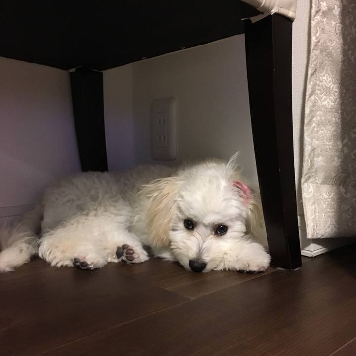 A52f20ff 5a06 43c3 aa2c b8913af5a7b5