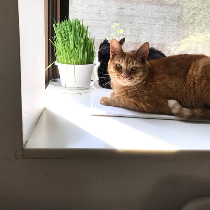 A52f9674 41b6 468c 8379 c6832134b645