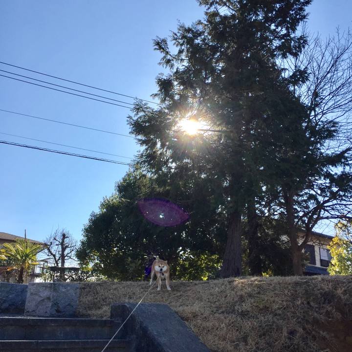 A5301148 4f47 4102 996c a49d66c6b562