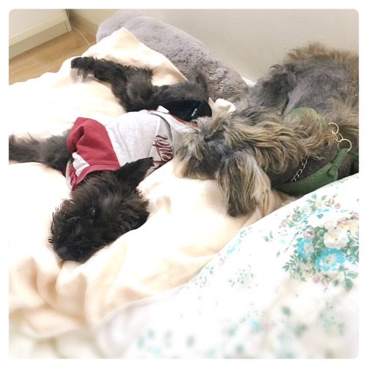 A5308151 239e 4f83 b1f7 d6c5bb4baad8