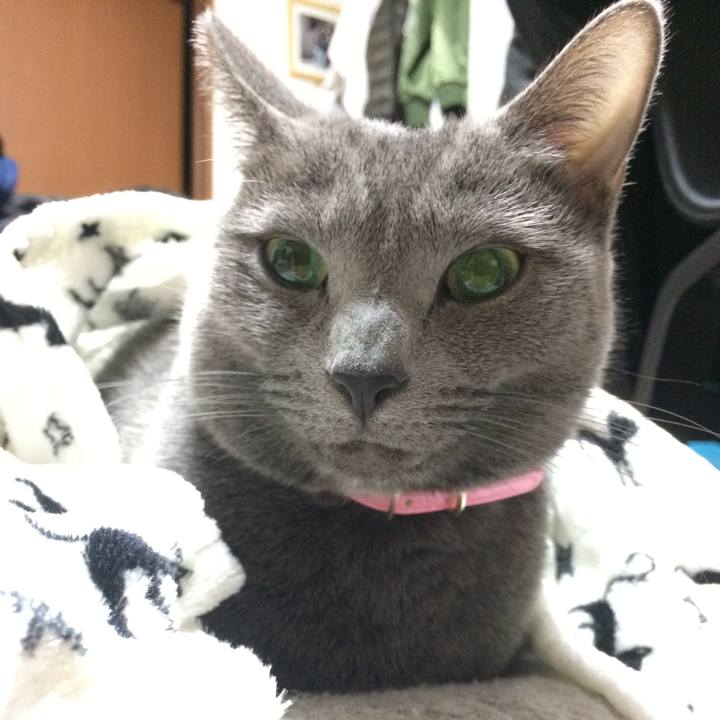 A530a4bc 41ee 4c4e a8bb 4bd6f1d67f14