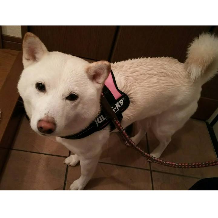 A530fac6 ffd3 4cd5 bad5 f49d866f1e1e