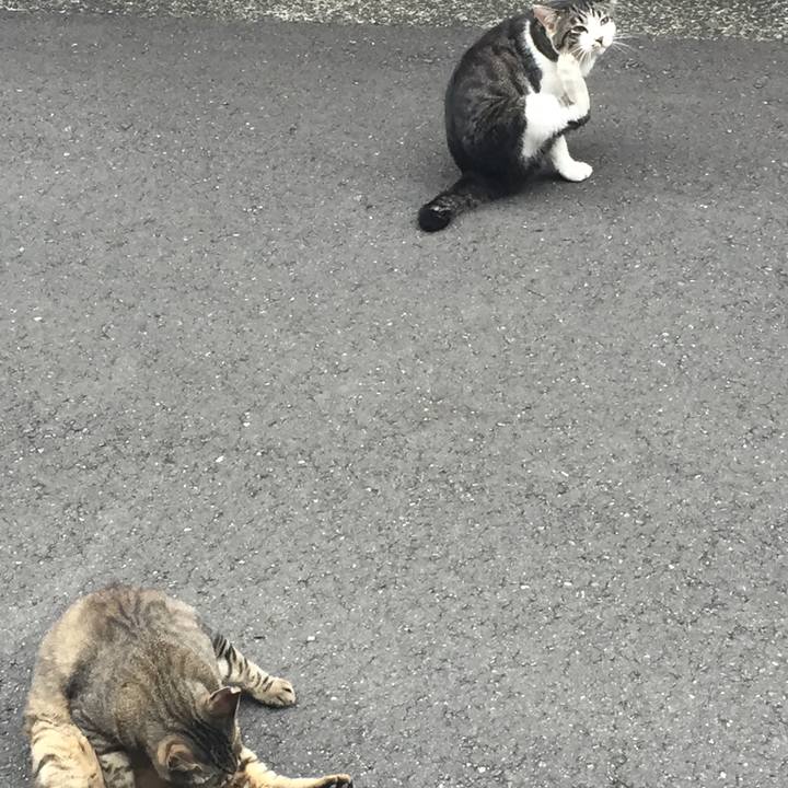 A530fbeb 564c 4cfb 9646 87f916be16db