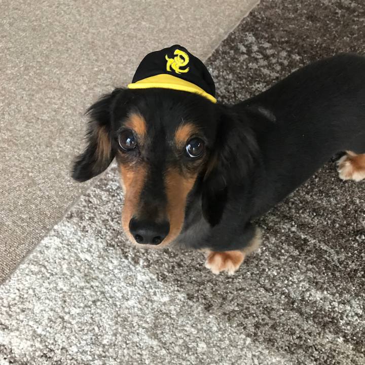 A53102d7 0207 4a89 ab13 3e834fca88c6