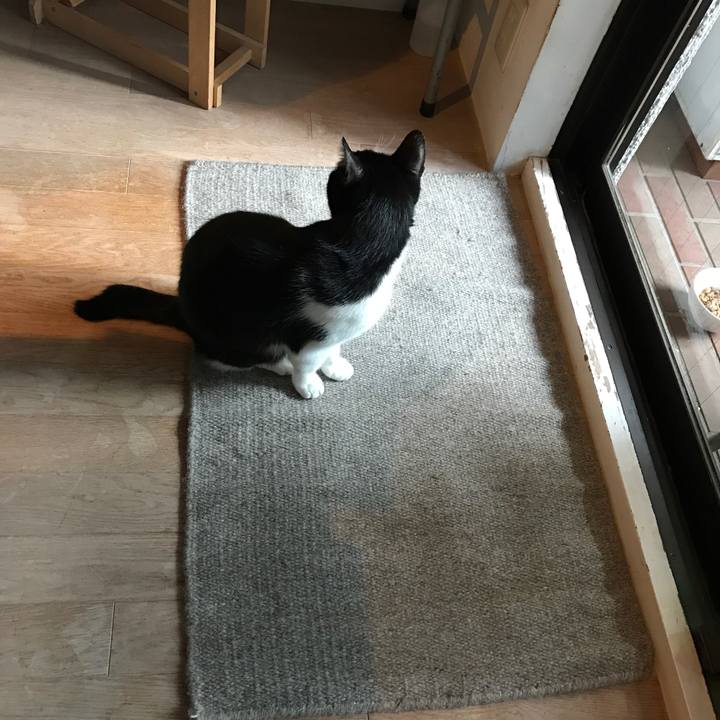 A5315002 63cd 4561 ae36 48ff2fb03566