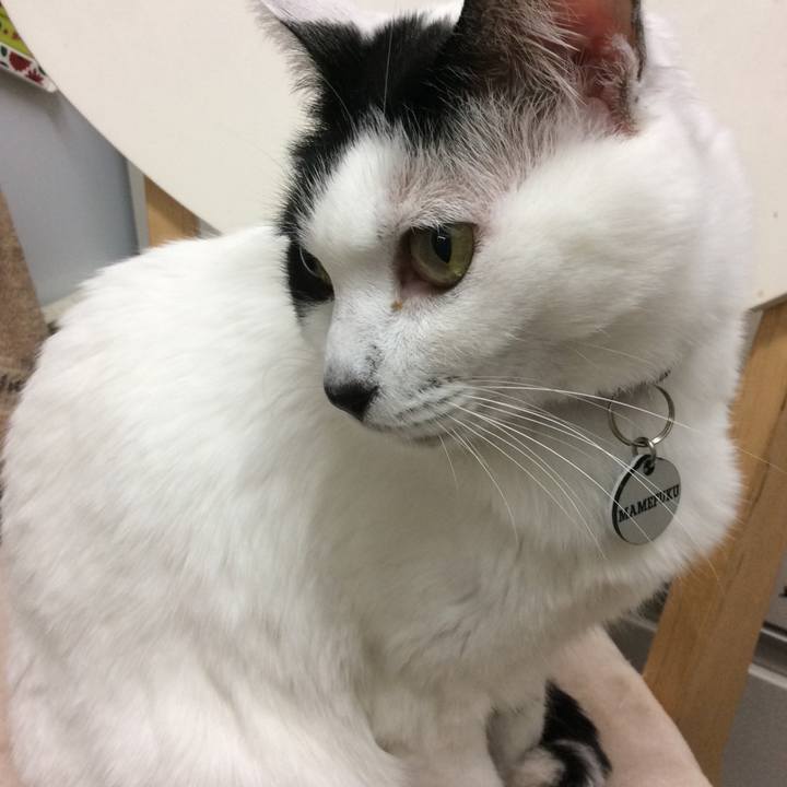 A53281b1 27b9 4019 9413 67203722b5da