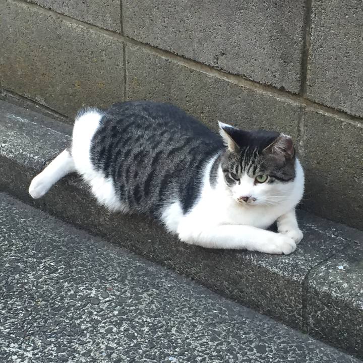 A532b1c4 893c 4ea8 8cd2 a081e1634775