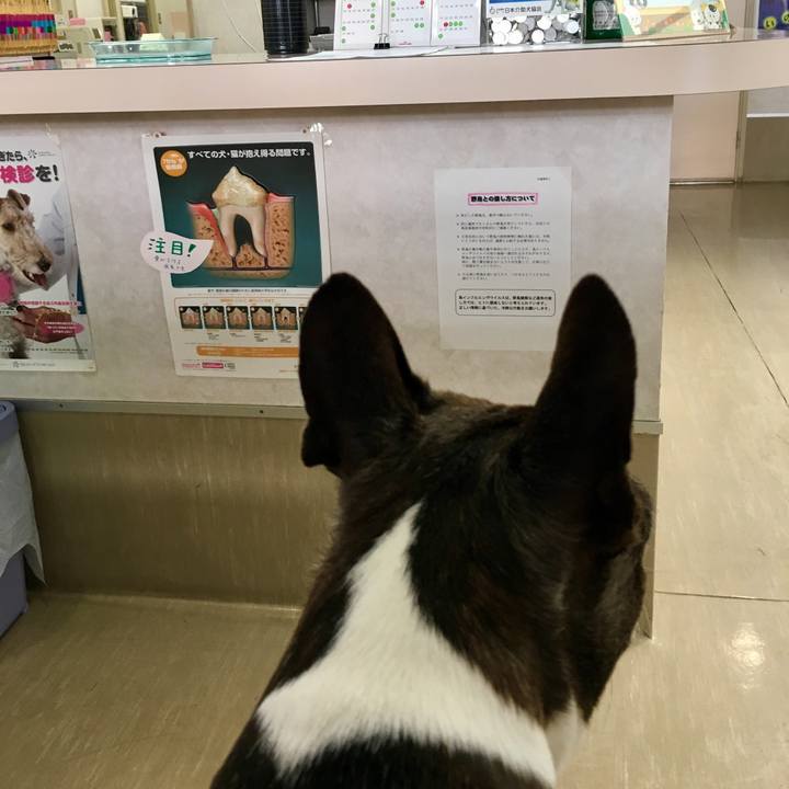 A533cce8 0348 4479 ae6c 623ee3ce34c1