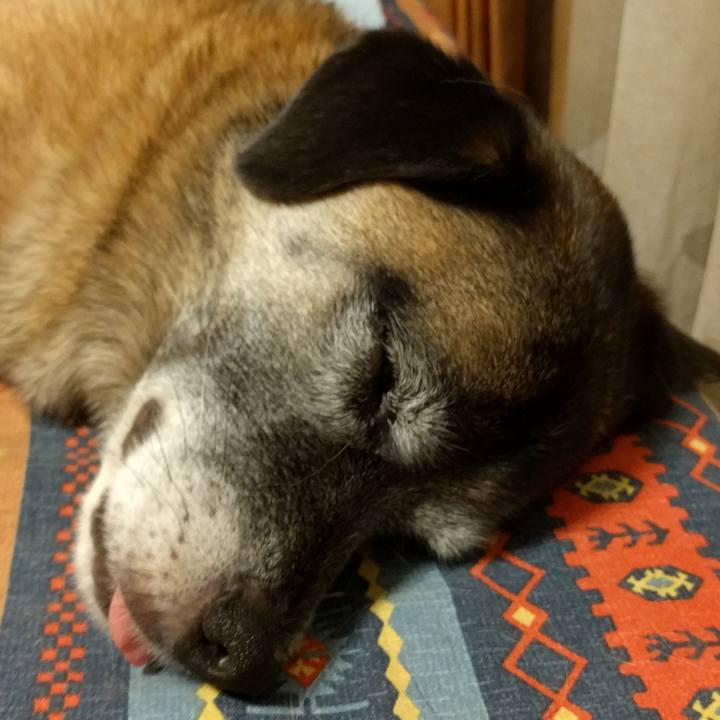 A5340bd1 099f 42e7 b97e 4c281a2d1b71