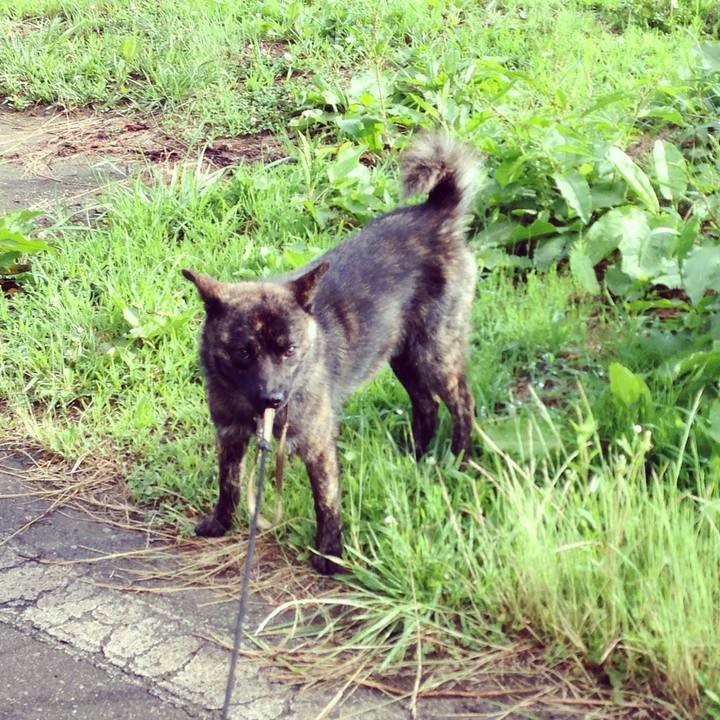 A5345e4b 78ae 45bb be4c 50fc2ae82893