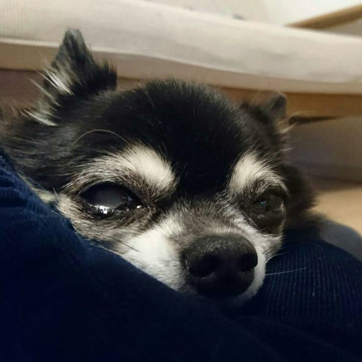 A5349976 f849 4bed b691 03c8dce29435