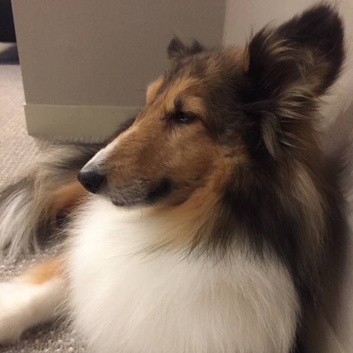 A5350b12 e543 44ca 8478 becad38fc7d3